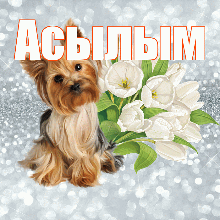 Асылым! Доброе утро! Красивая открытка Асылым!