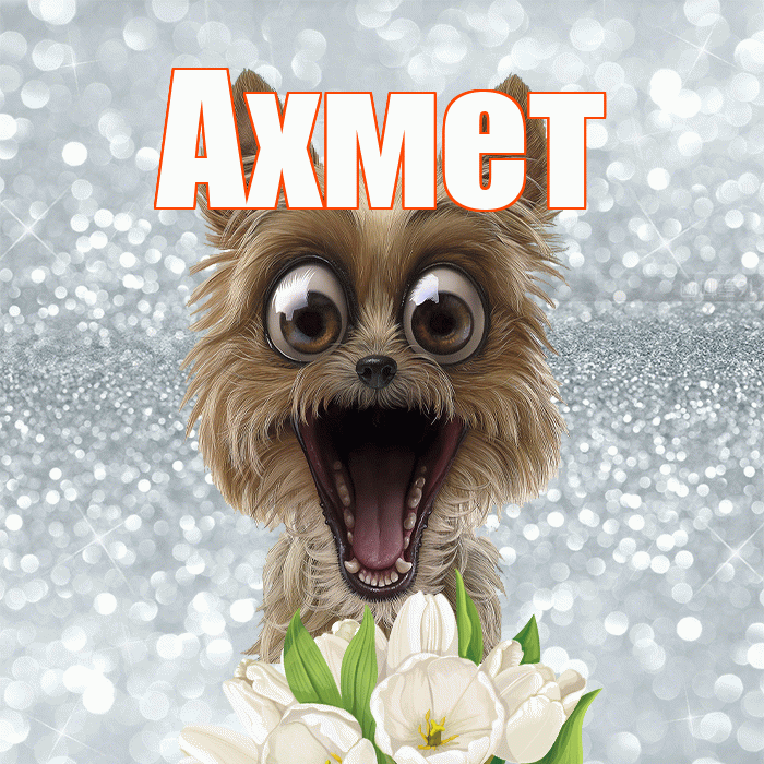Ахмет! Доброе утро! Красивая открытка Ахмету!