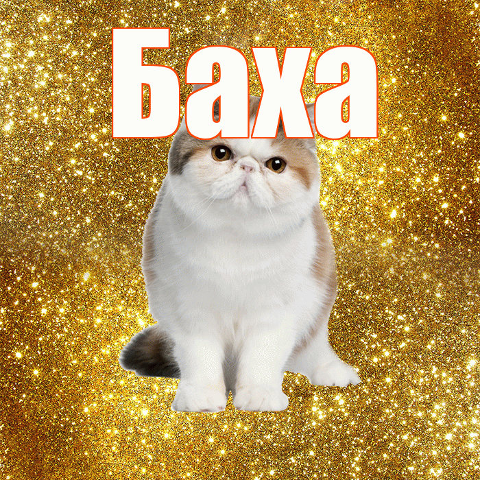 Баха! Доброе утро! Красивая открытка !