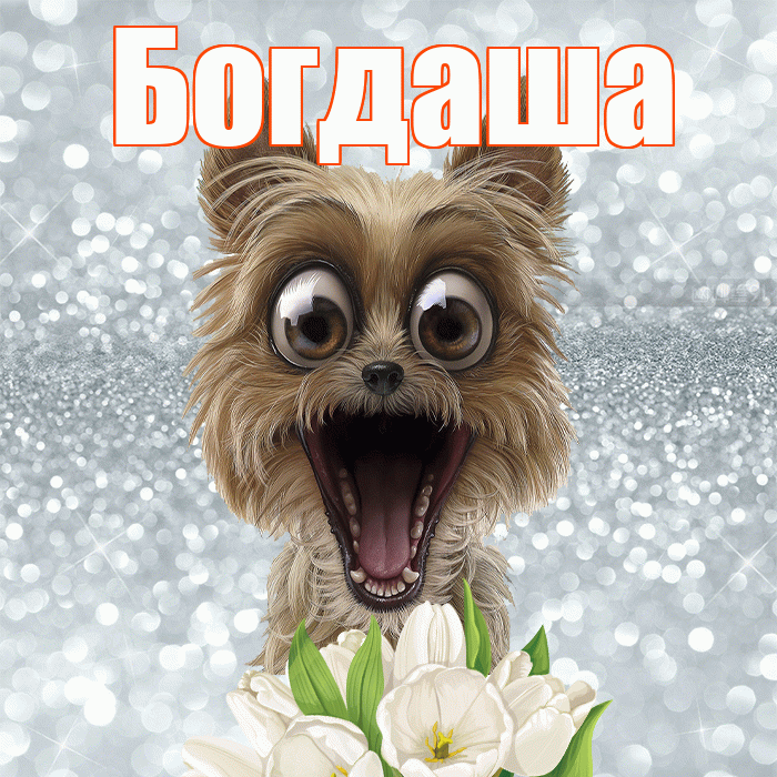 Богдаша! Доброе утро! Красивая открытка !