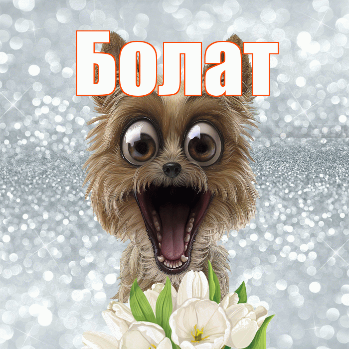 Болат! Доброе утро! Красивая открытка Болату!