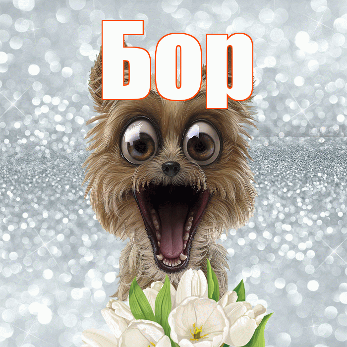 Бор! Доброе утро! Красивая открытка Бору!