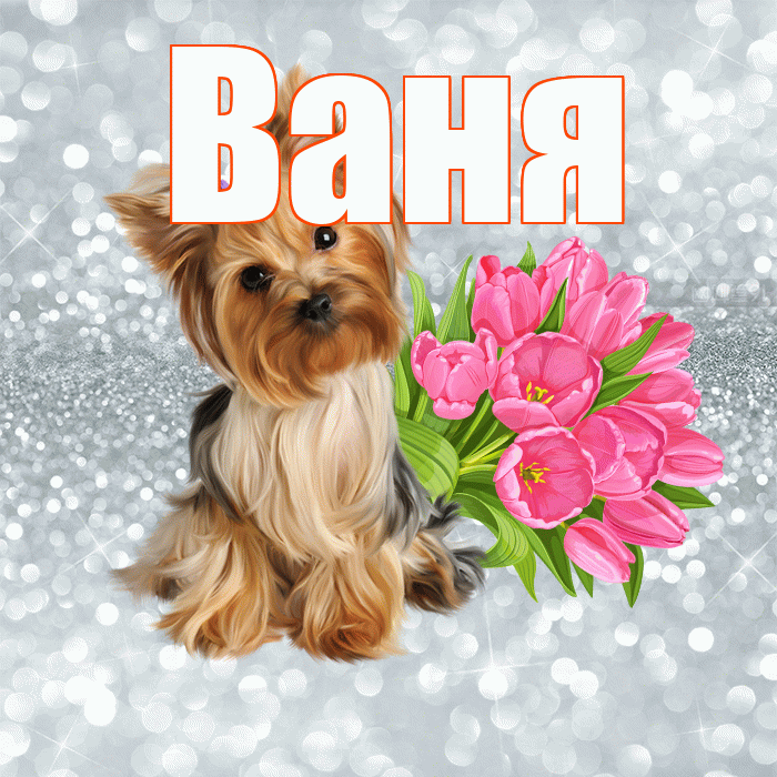 Ваня! Доброе утро! Красивая открытка Ване!