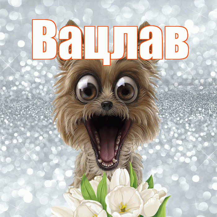 Вацлав! Доброе утро! Красивая открытка Вацлаву!