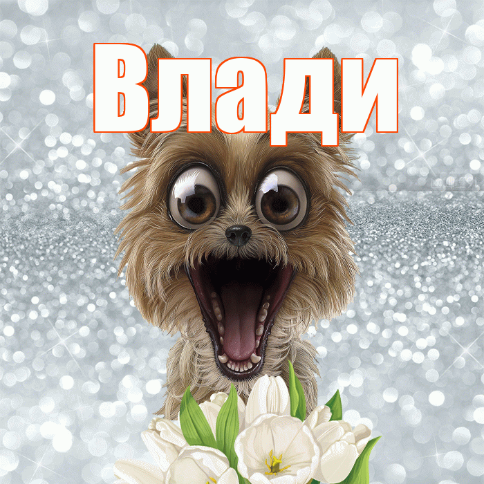 Влади! Доброе утро! Красивая открытка !