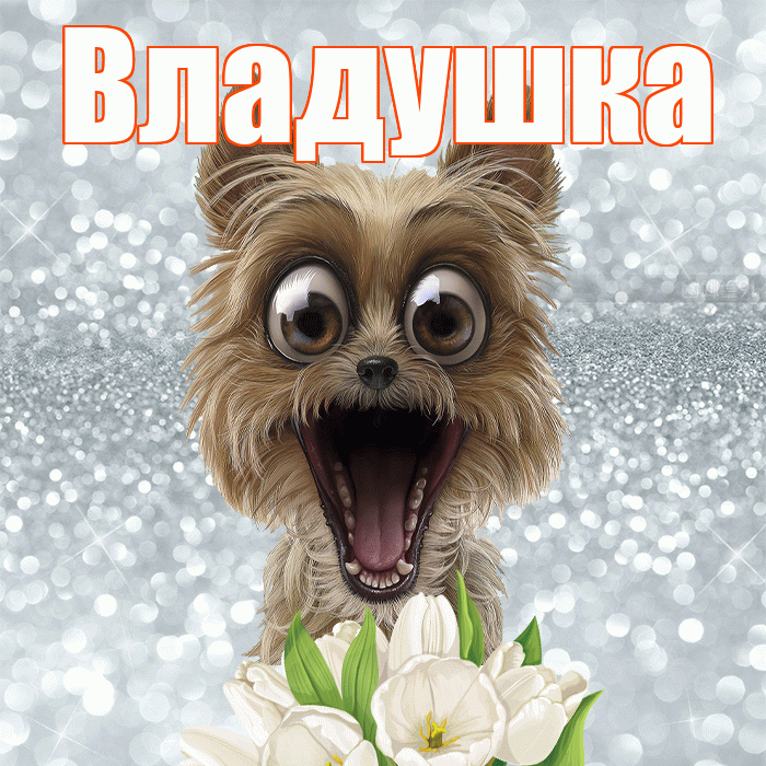 Владушка! Доброе утро! Красивая открытка !