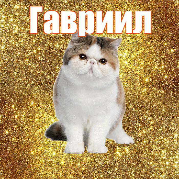 Гавриил! Доброе утро! Красивая открытка Гавриилу!