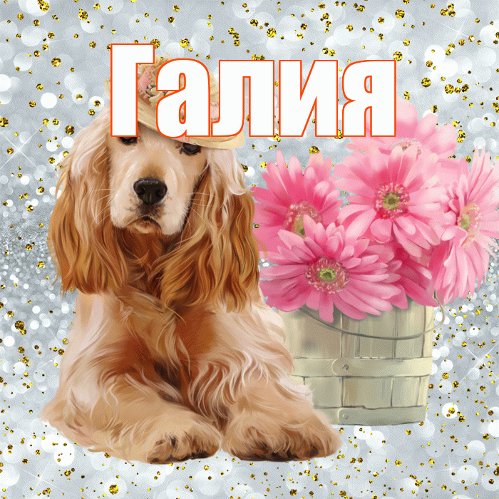 Галия! Доброе утро! Красивая открытка Галие!