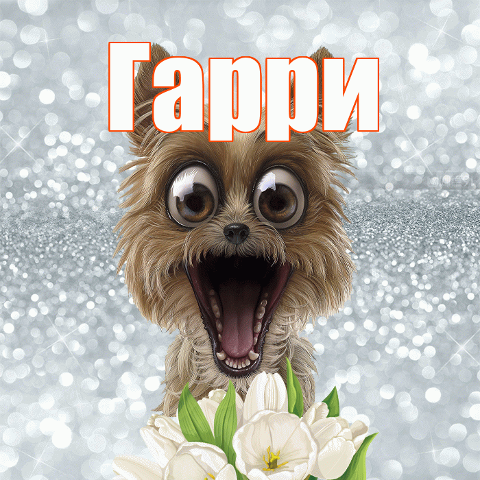 Гарри! Доброе утро! Красивая открытка Гарри!