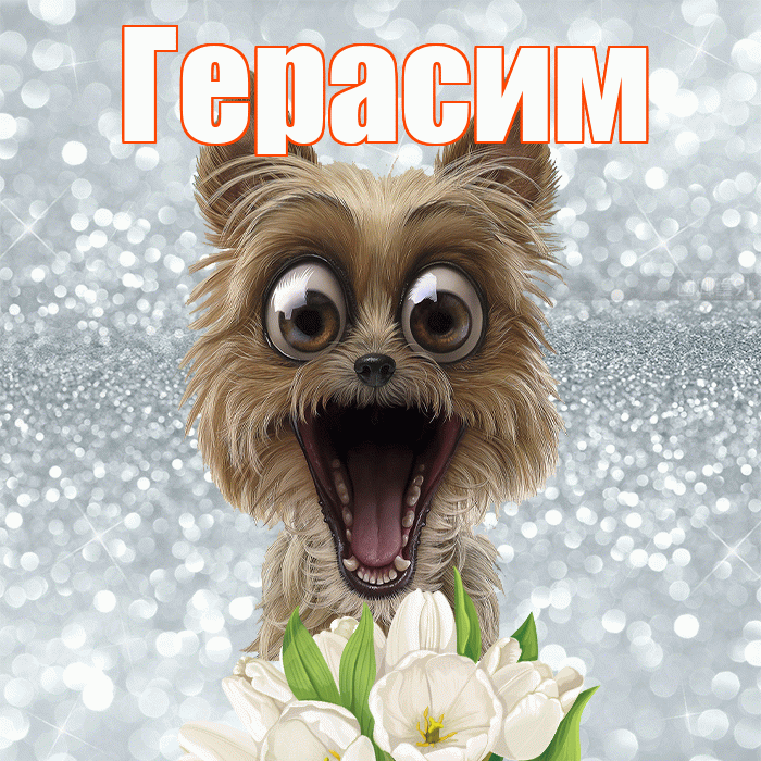 Герасим! Доброе утро! Красивая открытка Герасиму!