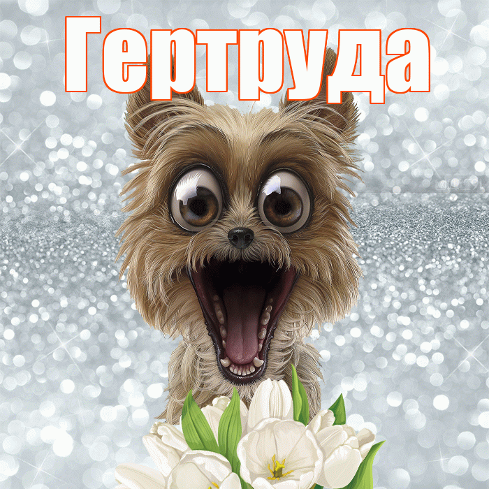 Гертруда! Доброе утро! Красивая открытка Гертруде!