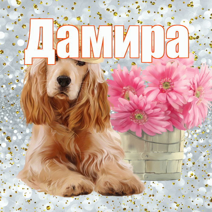 Дамира! Доброе утро! Красивая открытка Дамире!