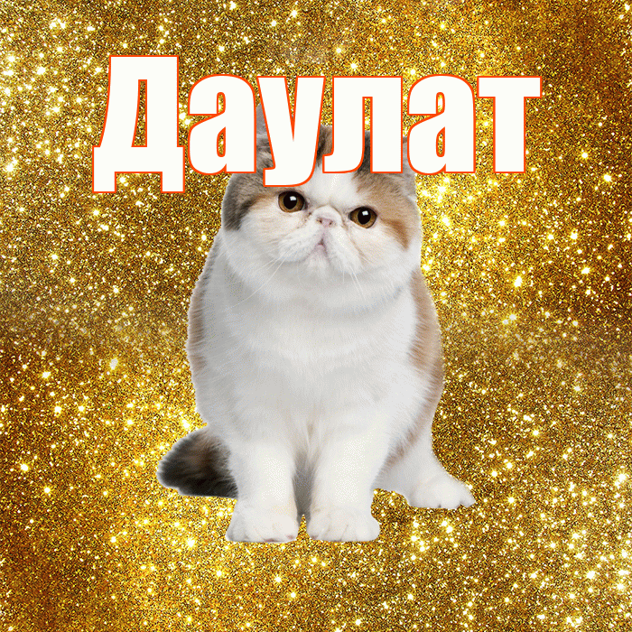 Даулат! Доброе утро! Красивая открытка Даулату!