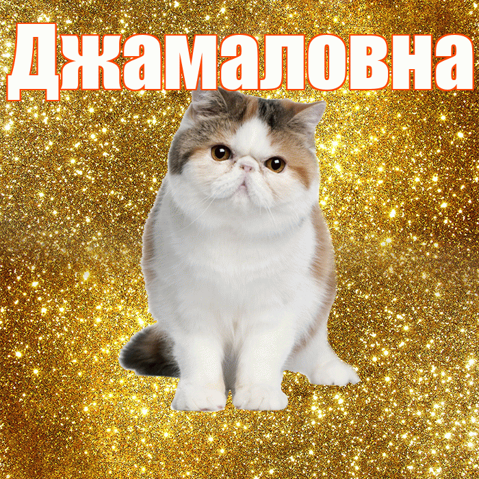 Джамаловна! Доброе утро! Красивая открытка Джамаловне!