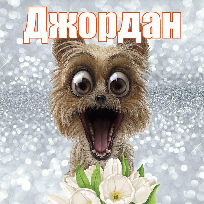 Джордан! Доброе утро! Красивая открытка Джордану!