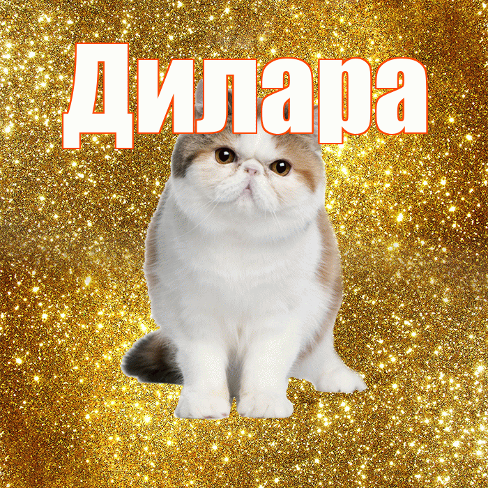 Дилара! Доброе утро! Красивая открытка Диларе!