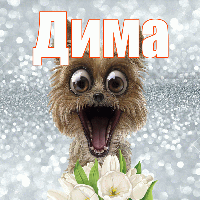 Дима! Доброе утро! Красивая открытка Диму!