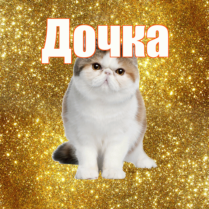 Дочка! Доброе утро! Красивая открытка Дочке!