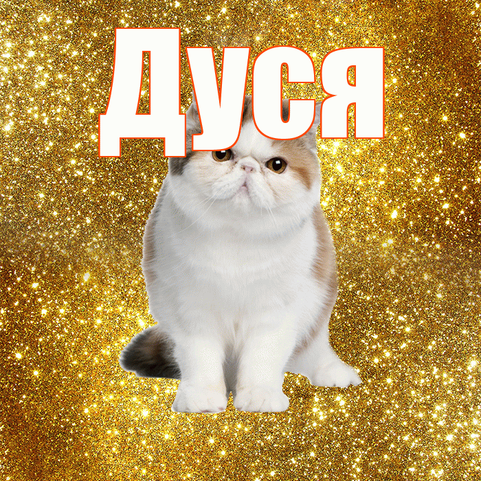 Дуся! Доброе утро! Красивая открытка Дусе!