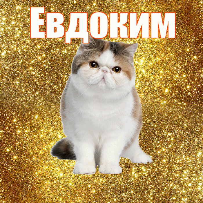 Евдоким! Доброе утро! Красивая открытка Евдокиму!