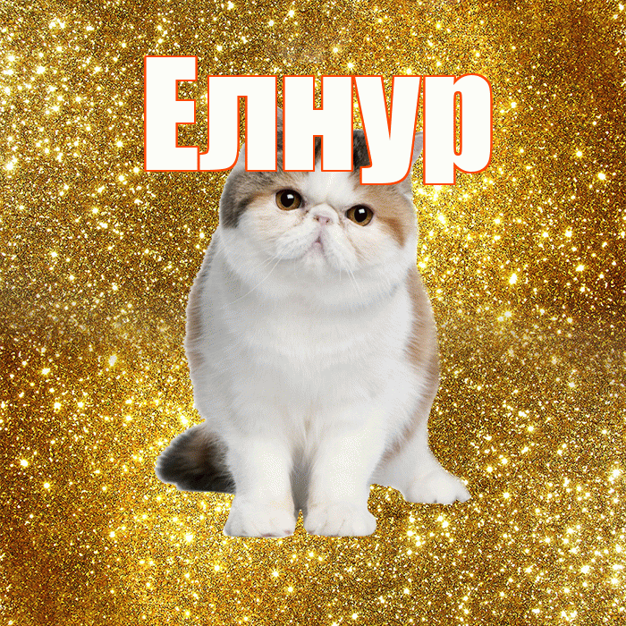 Елнур! Доброе утро! Красивая открытка Елнуру!