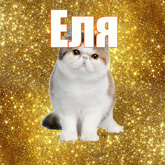 Еля! Доброе утро! Красивая открытка Еле!