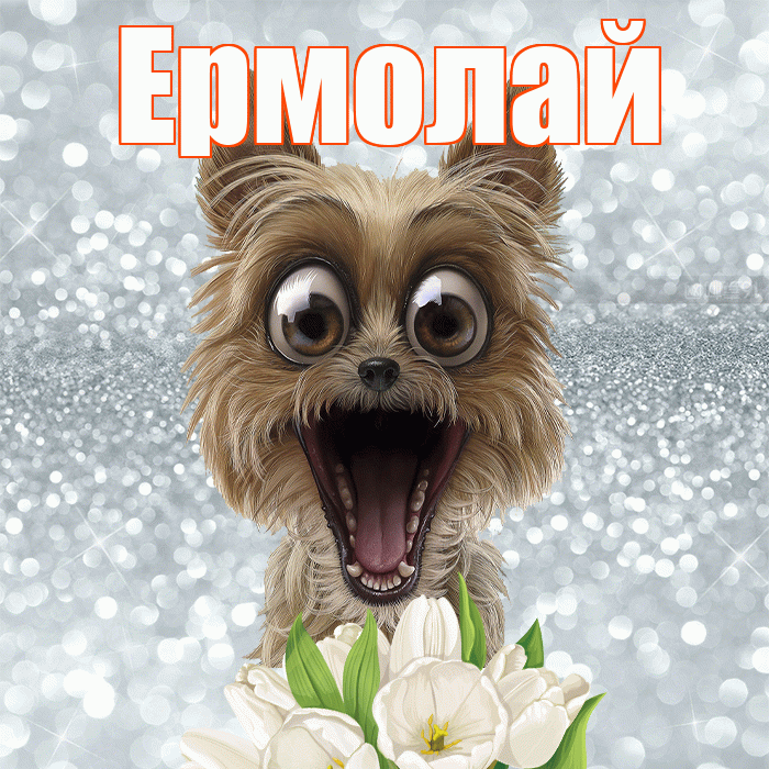 Ермолай! Доброе утро! Красивая открытка Ермолаю!