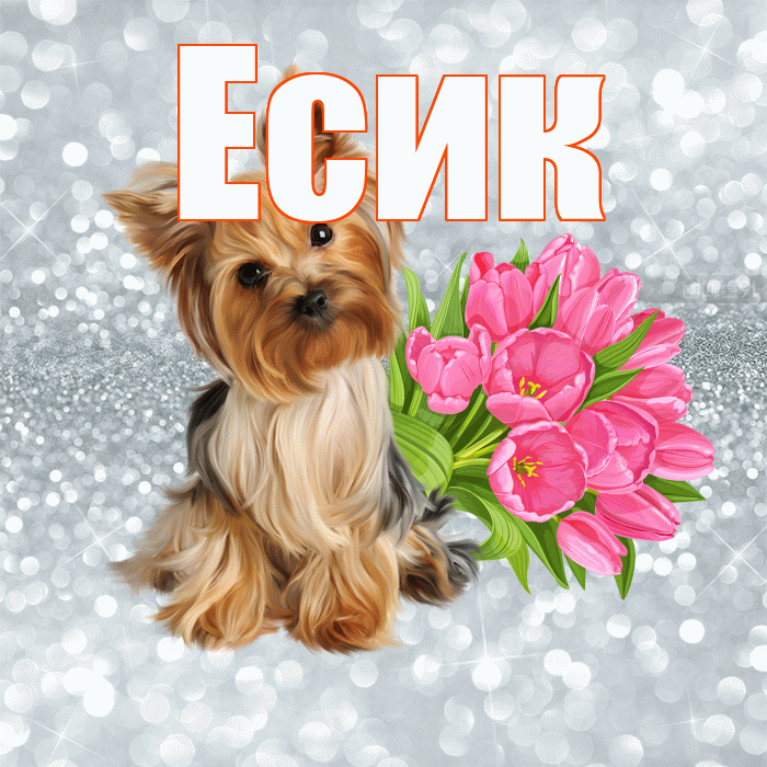 Есик! Доброе утро! Красивая открытка Есику!