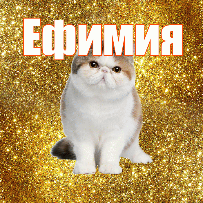 Ефимия! Доброе утро! Красивая открытка Ефимиевне!