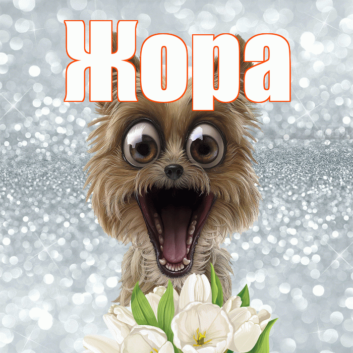 Жора! Доброе утро! Красивая открытка Жору!