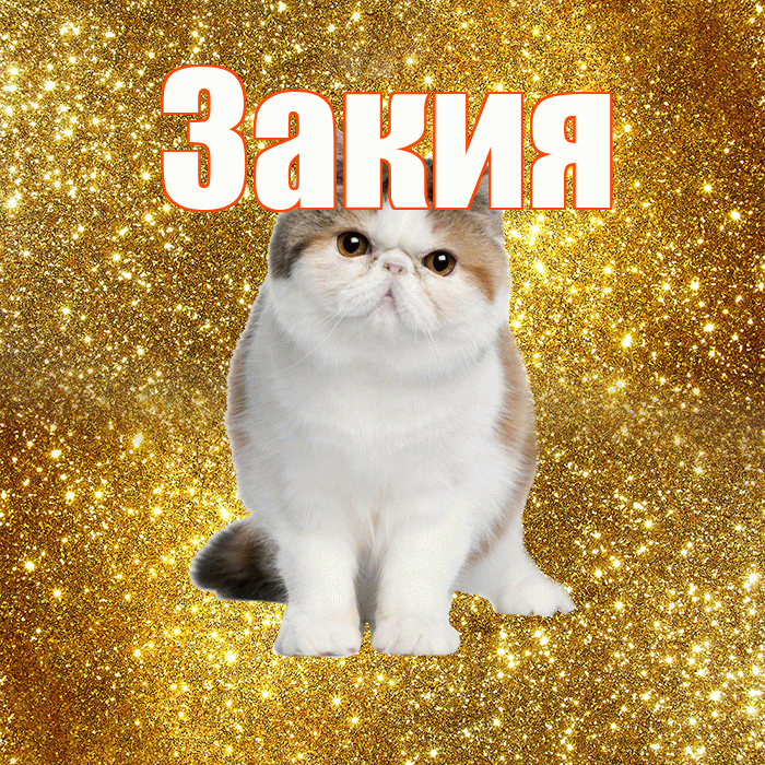Закия! Доброе утро! Красивая открытка Закие!