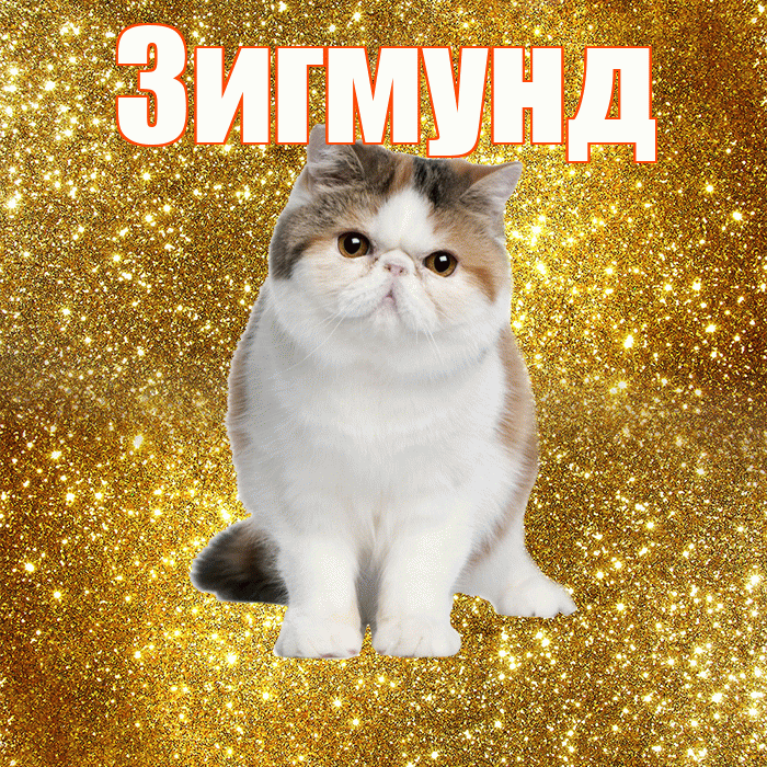 Зигмунд! Доброе утро! Красивая открытка Зигмунду!