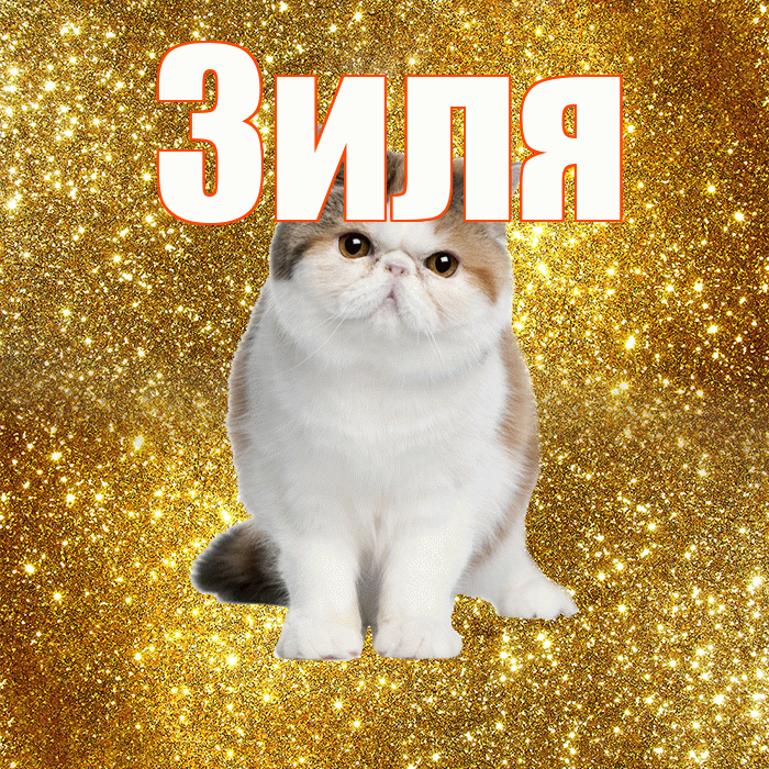 Зиля! Доброе утро! Красивая открытка Зиле!