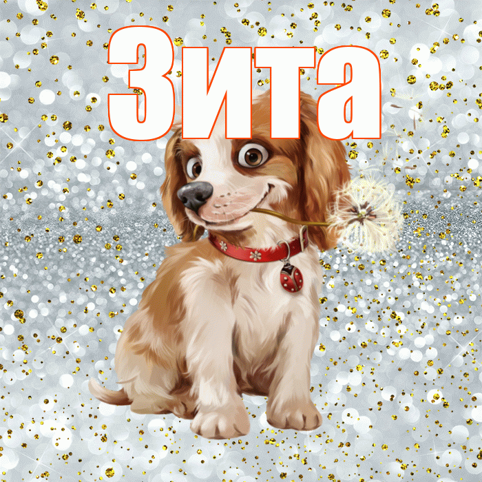 Зита! Доброе утро! Красивая открытка Зите!