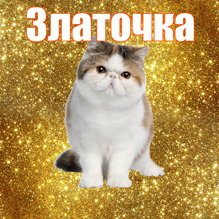 Златочка! Доброе утро! Красивая открытка !