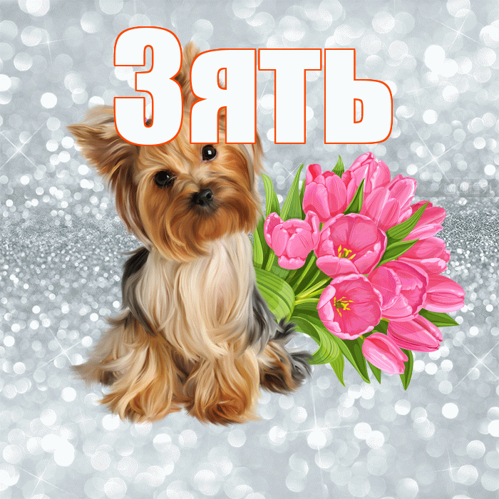 Зять! Доброе утро! Красивая открытка Зятю!