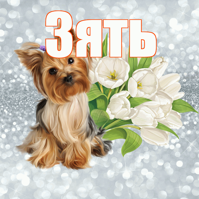 Зять! Доброе утро! Красивая открытка Зятю!