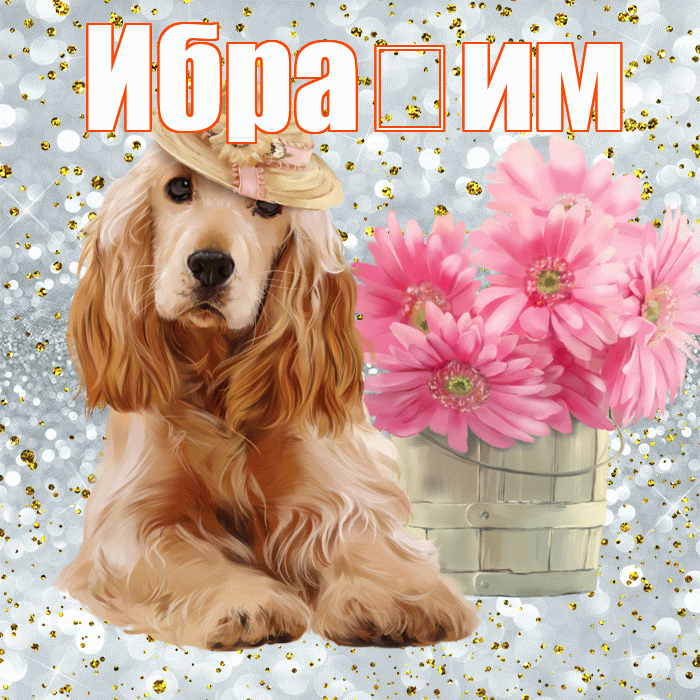 Ибра им! Доброе утро! Красивая открытка !