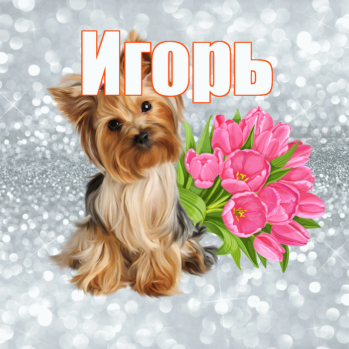 Игорь! Доброе утро! Красивая открытка Игорю!