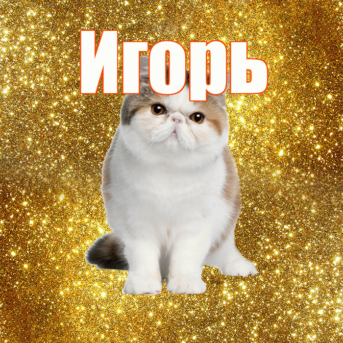 Игорь! Доброе утро! Красивая открытка Игорю!
