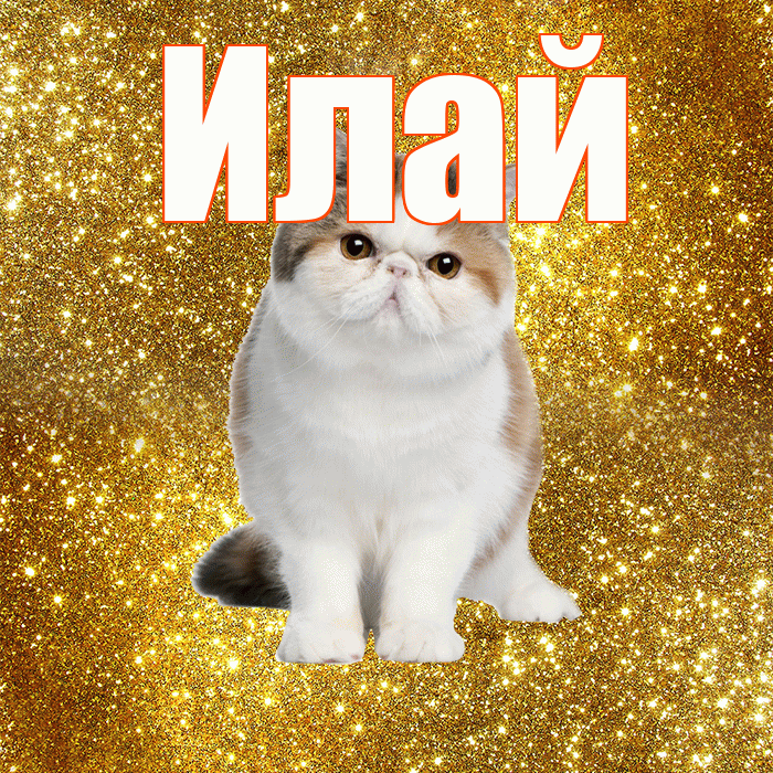 Илай! Доброе утро! Красивая открытка Илаю!