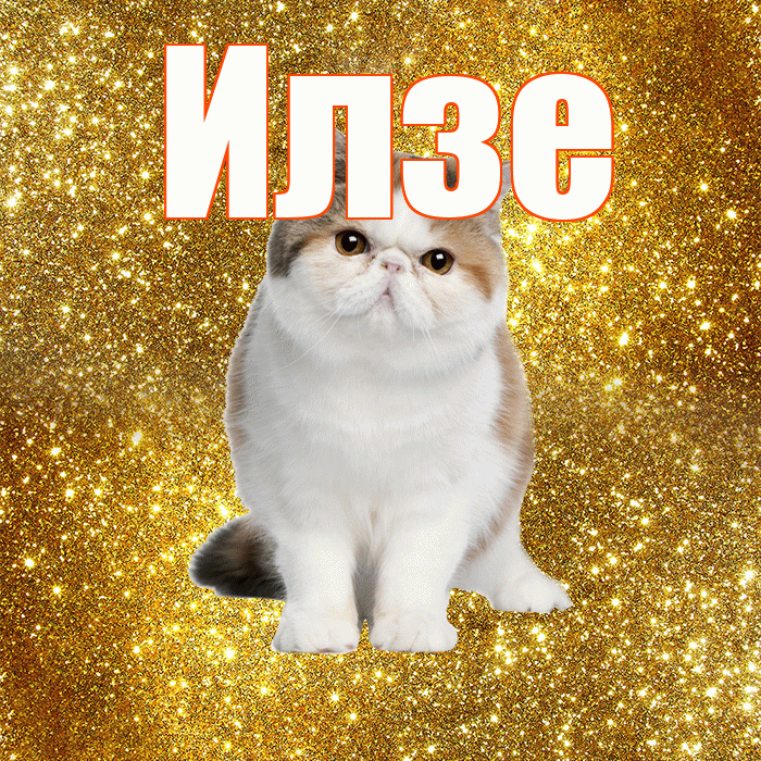 Илзе! Доброе утро! Красивая открытка Илзе!