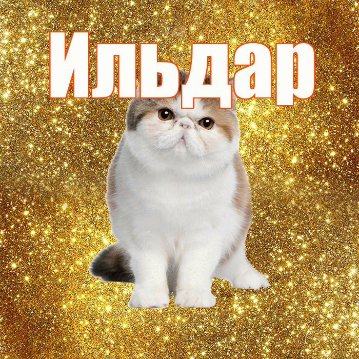 Ильдар! Доброе утро! Красивая открытка Ильдару!
