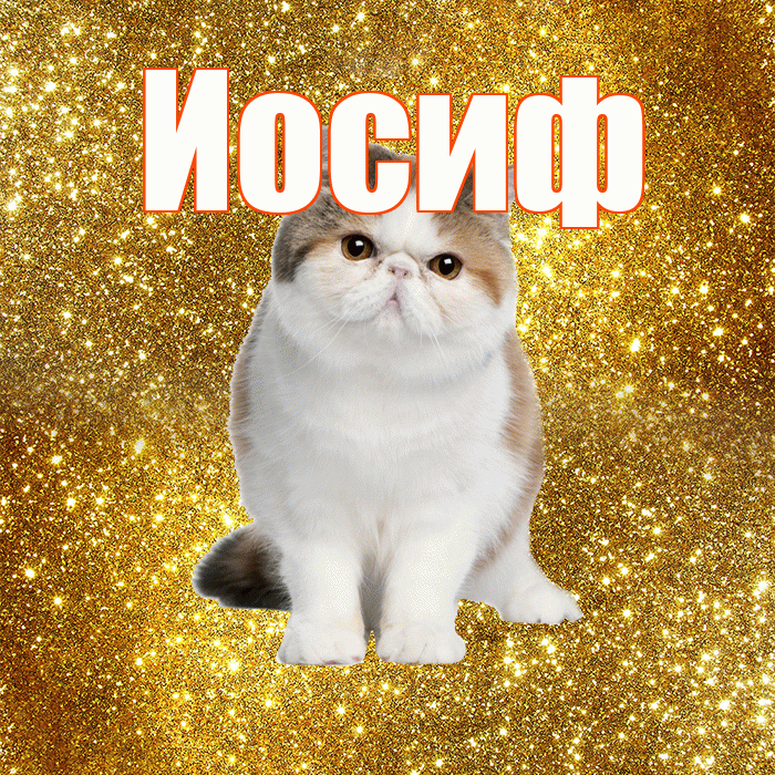 Иосиф! Доброе утро! Красивая открытка Иосифу!