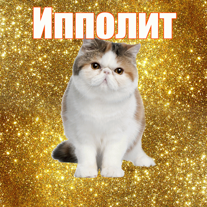 Ипполит! Доброе утро! Красивая открытка Ипполиту!