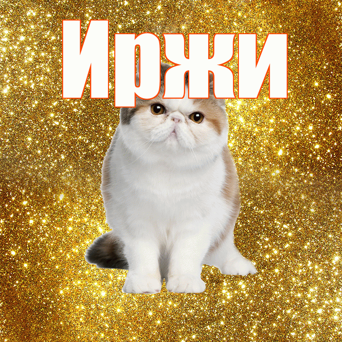 Иржи! Доброе утро! Красивая открытка Иржиевне!