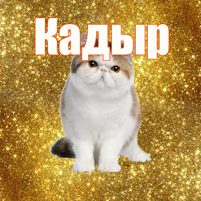 Кадыр! Доброе утро! Красивая открытка Кадыру!