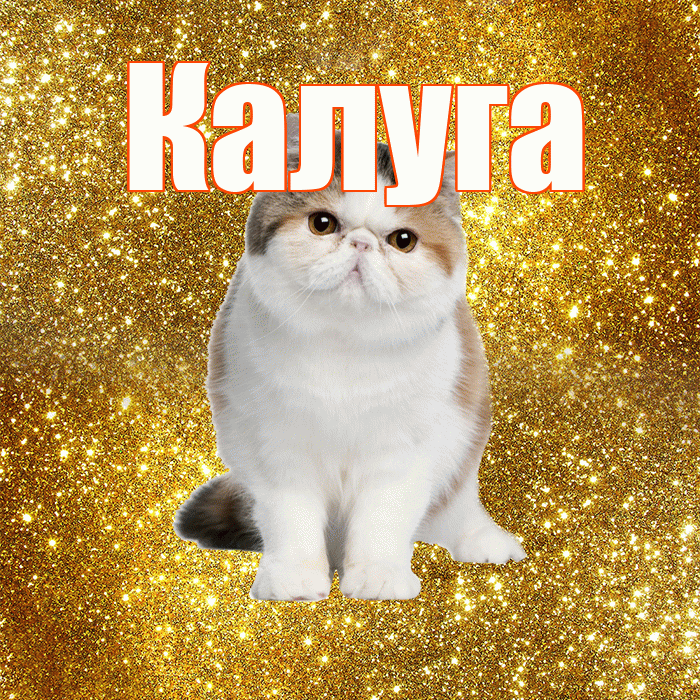 Калуга! Доброе утро! Красивая открытка Калуге!