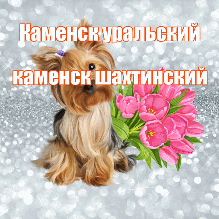 Каменск уральский каменск шахтинский! Доброе утро! Красивая открытка !