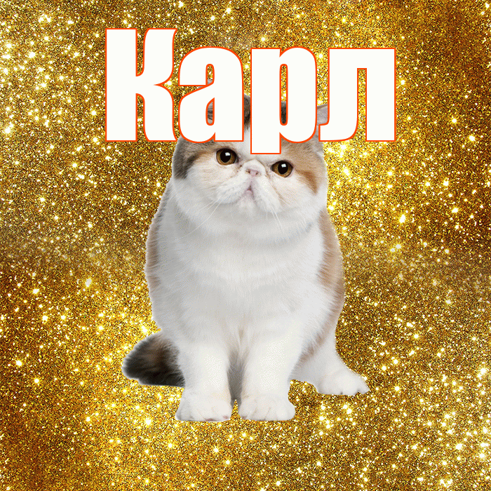 Карл! Доброе утро! Красивая открытка Карле!